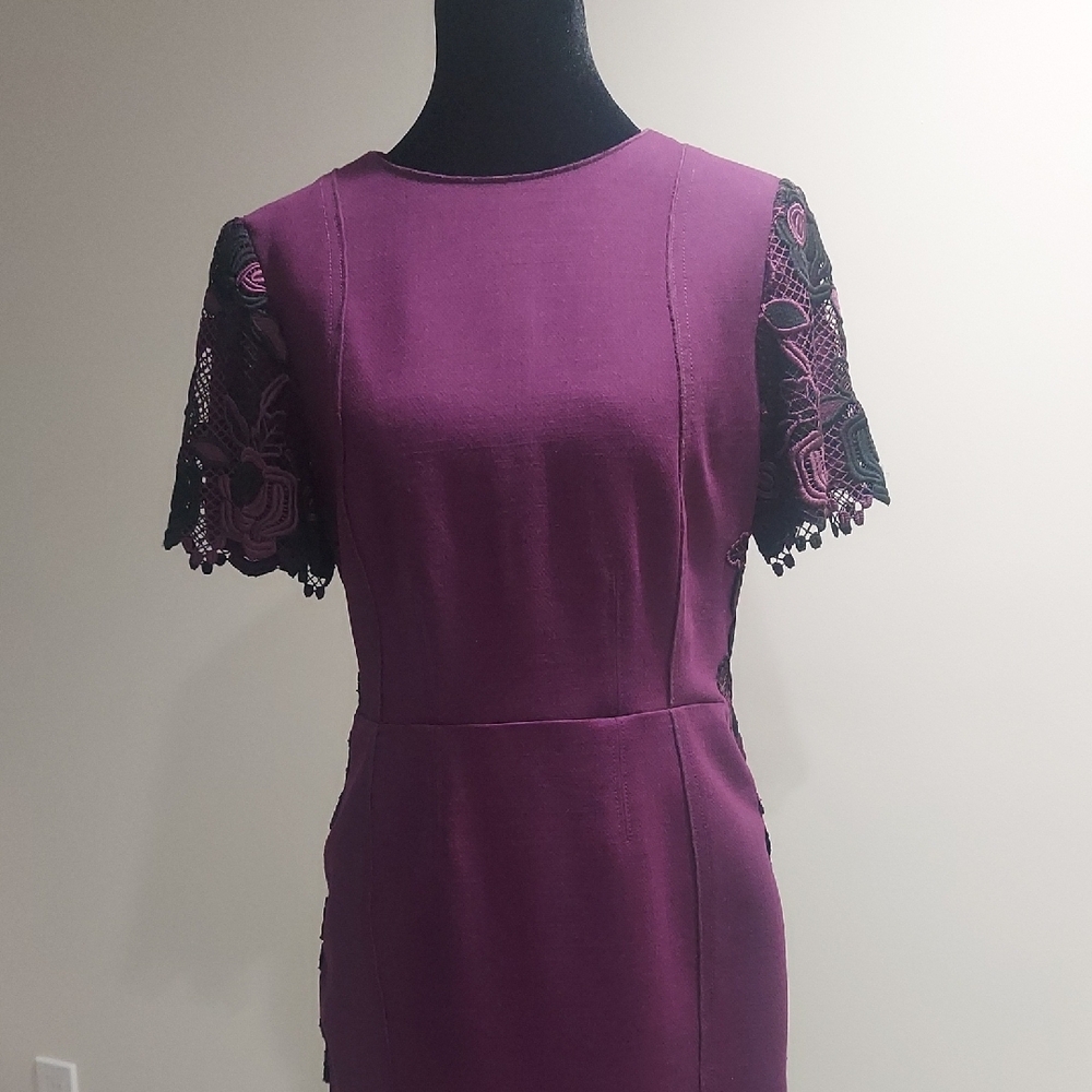 Elegant Purple Lace Sleeve Dress